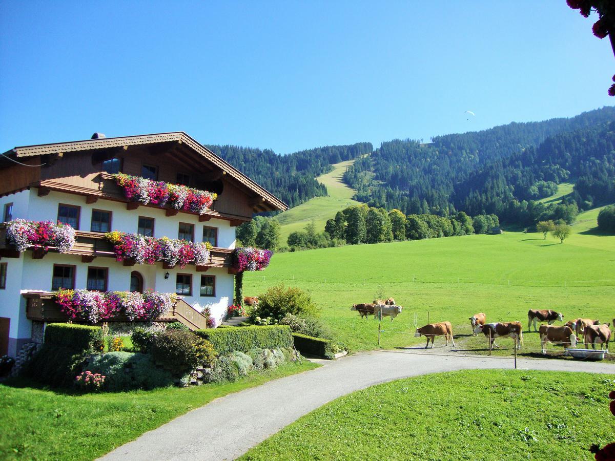 Апартаменты Sixenhof Нидерау Экстерьер фото
